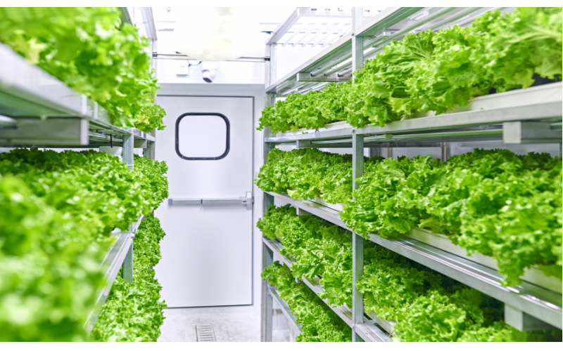 集裝箱植物工廠(chǎng)